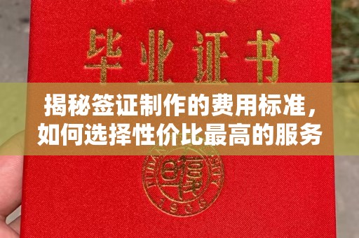 龙井揭秘签证制作的费用标准，如何选择性价比最高的服务？